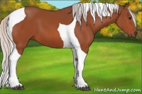 Horse Color:Silver Bay Tobiano
