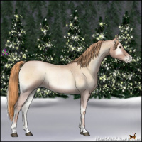 Horse Color:Red Onyx Roan Pearl 
