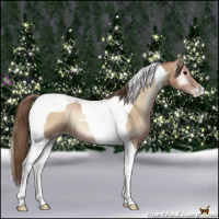 Horse Color:Blue Onyx Pearl Tobiano 