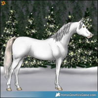 Horse Color:Red Dun Pearl Tobiano Frame Varnish