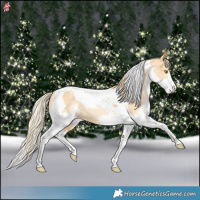 Horse Color:Chestnut Pearl Splash Tobiano 