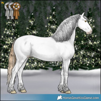 Horse Color:Chestnut Pearl Appaloosa 