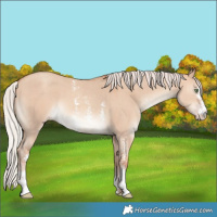 Horse Color:Silver Sable Champagne Dun Sabino 
