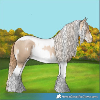 Horse Color:Chocolate Palomino Pearl Tobiano Frame  and Buckskin Pearl Tobiano Frame 