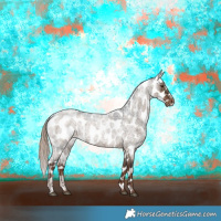 Horse Color:Liver Red Dun Roan Appaloosa Brindle 