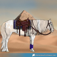Horse Color:White Spotted Perlino 