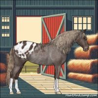Horse Color:Liver Chestnut Appaloosa Rabicano 