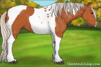 Horse Color:Silver Bay Tobiano 