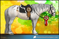 Horse Color:Buckskin Appaloosa 