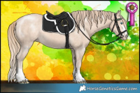 Horse Color:Perlino