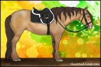Horse Color:Sable Cream Champagne