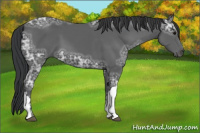 Horse Color:Black Ice