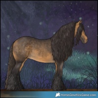 Horse Color:Buckskin 