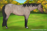 Horse Color:Brown Roan Dun 