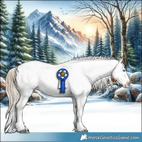 Horse Color:Perlino Appaloosa 