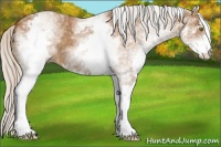 Horse Color:White Spotted Silver Buckskin