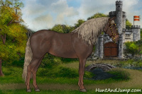 Horse Color:Liver Chestnut Rabicano 