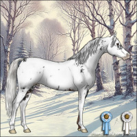 Horse Color:Liver Chestnut Mushroom Sabino 