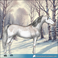 Horse Color:White Spotted Liver Red Dun Mushroom Splash 