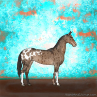 Horse Color:Liver Red Dun Appaloosa Brindle 
