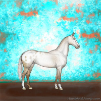 Horse Color:Gray Silver Smoky Creme Dun Sabino Blanket Brindle 