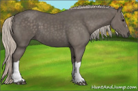 Horse Color:Silver Black 