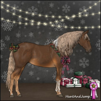 Horse Color:Chocolate Palomino Tobiano 