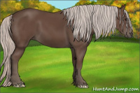 Horse Color:Silver Black 