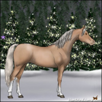 Horse Color:Silver Blue Roan Pearl Tobiano Frame 