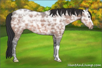 Horse Color:Brown Ice 