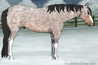 Horse Color:Bay Ice Roan 