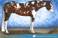 Horse Color:White Spotted Liver Chestnut Splash 