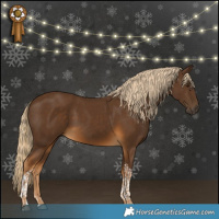 Horse Color:Chocolate Palomino Tobiano