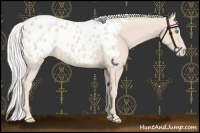 Horse Color:Silver Smoky Creme Appaloosa