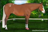 Horse Color:Silver Bay Splash Appaloosa 