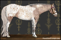 Horse Color:Silver Bay Roan Dun Appaloosa and Silver Brown Tobiano Frame Appaloosa