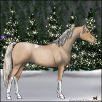 Horse Color:Silver Blue Roan Pearl Tobiano Frame 