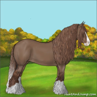 Horse Color:Liver Red Dun Splash 