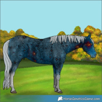 Horse Color:ERROR: UNKNOWN ANOMALY