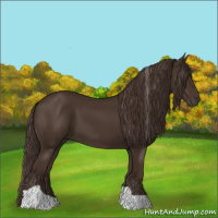 Horse Color:Liver Chestnut Tobiano