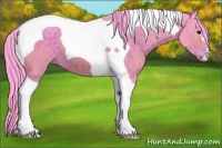 Horse Color:Watercolor Bay Tobiano 