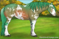 Horse Color:Watercolor Bay Sabino 