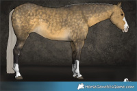 Horse Color:Silver Buckskin Dun 
