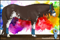 Horse Color:Liver Chestnut Sabino