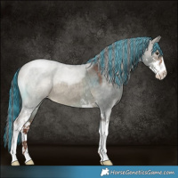 Horse Color:Painted Liver Red Dun Roan Sabino 