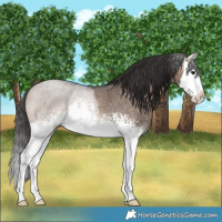Horse Color:White Spotted Brown Roan Dun Splash 