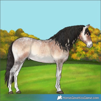 Horse Color:Brown Ice Onyx and Brown Ice Roan Onyx