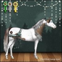 Horse Color:Liver Red Dun Splash Tobiano 