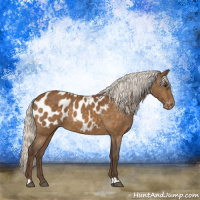 Horse Color:Silver Buckskin Blanket 