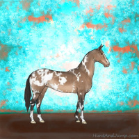 Horse Color:White Spotted Brown Dun Sabino Blanket 